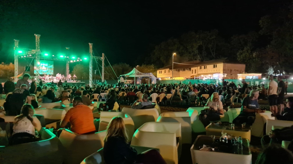 andra nistor festival de blues