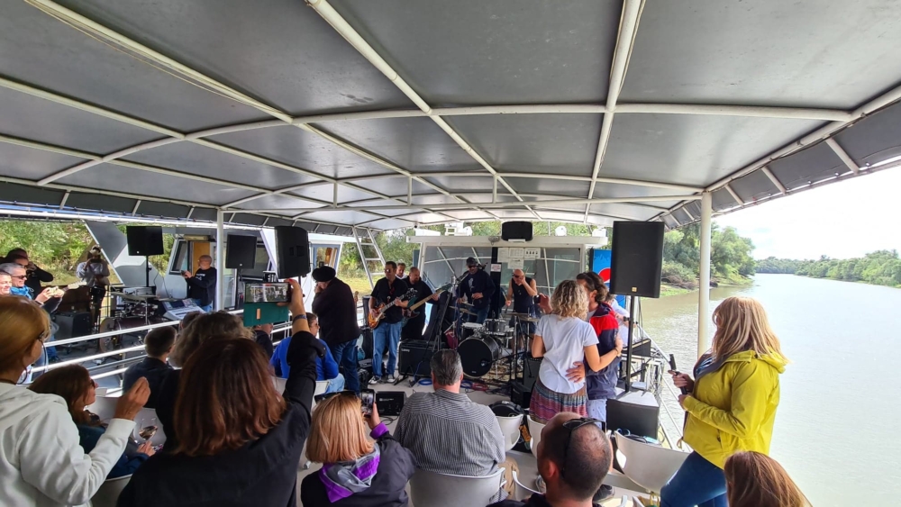 andra nistor festival de blues